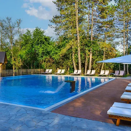 Espacio - Pool & Holiday home Vladimirovac